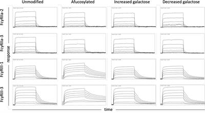 Biophysical Evaluation of Rhesus Macaque Fc Gamma Receptors Reveals Similar IgG Fc Glycoform Preferences to Human Receptors